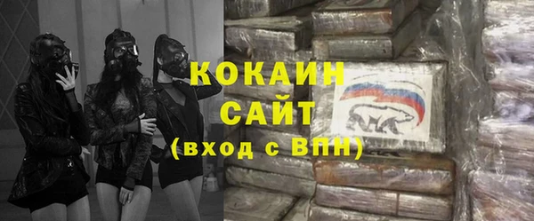 индика Лабытнанги