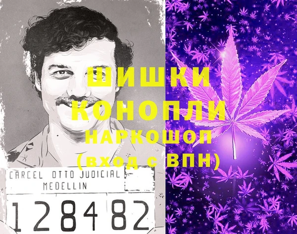 мдпв Магас