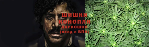 мдпв Магас