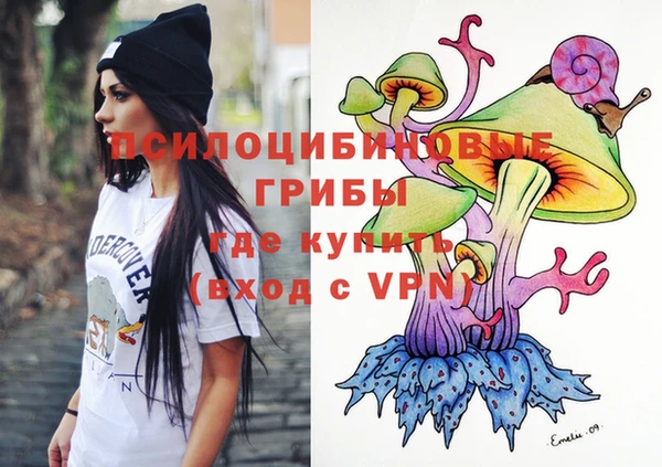 apvp Магадан