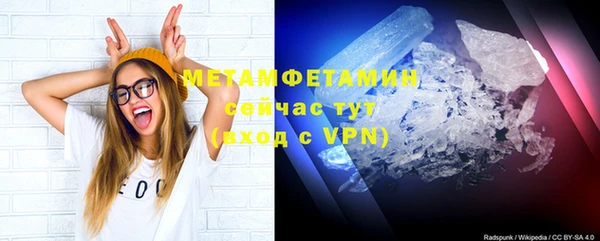 индика Лабытнанги