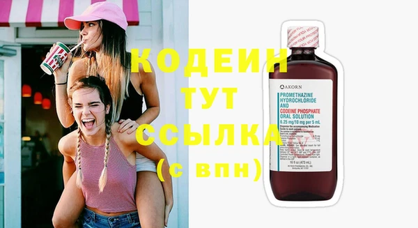 соль ск Кукмор