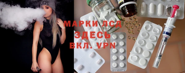 индика Лабытнанги