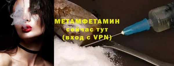 индика Лабытнанги