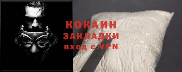 гидра Ладушкин
