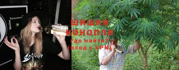 гидра Ладушкин