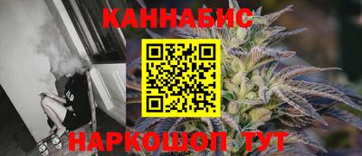 шишки Гатчина
