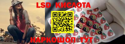 шишки Гатчина
