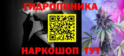apvp Гагарин