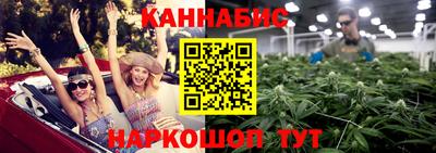 шишки Гатчина