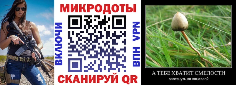 Псилоцибиновые грибы Psilocybe  Мелеуз 