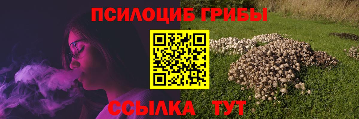 Мелеуз  Псилоцибиновые грибы Psilocybe  Вход с VPN  Галлюциногенные грибы прущие грибы 